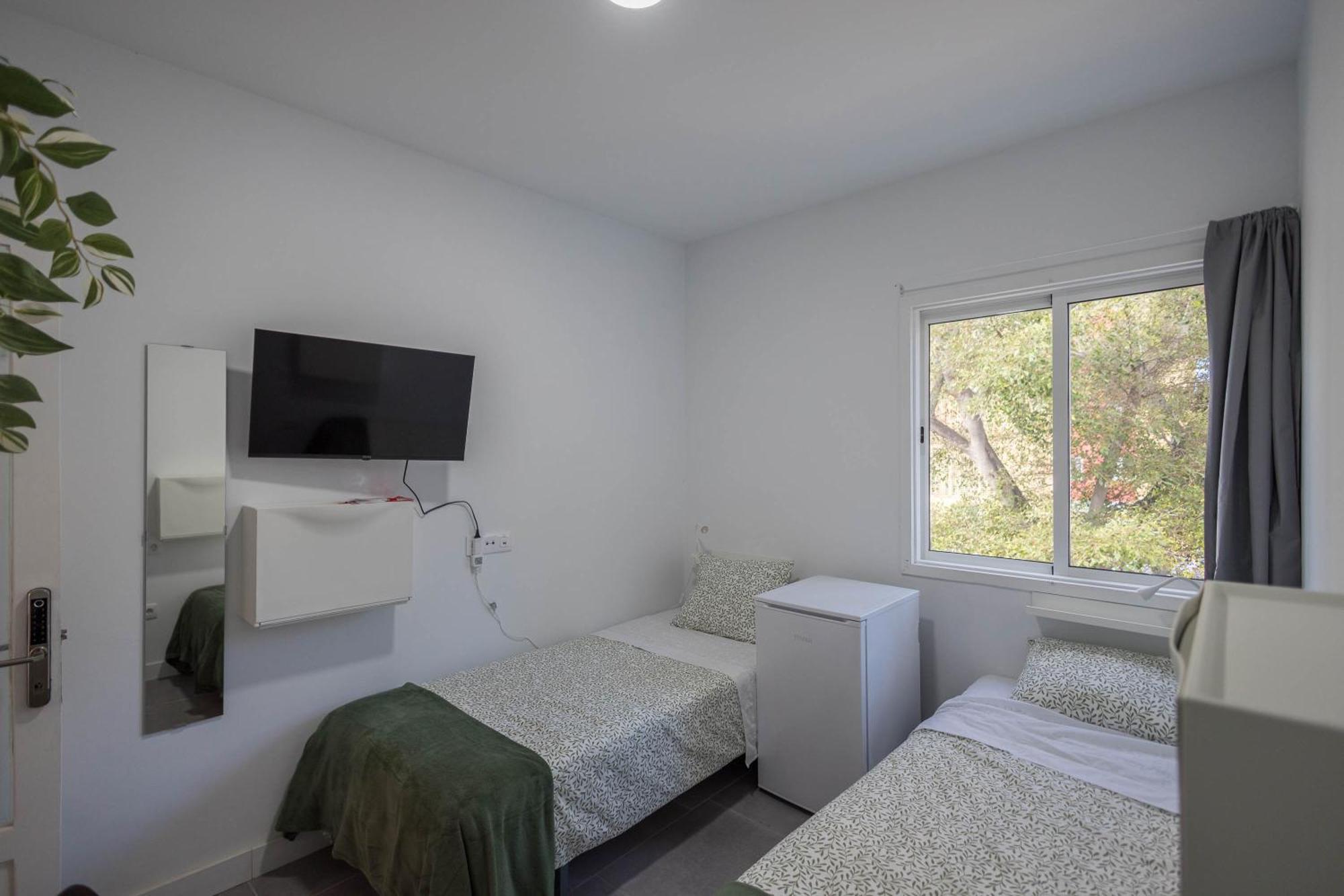 Coliving Mol-Terrace, En-Suite Bathroom, Fridge & Tv 大加那利岛拉斯帕尔马斯 外观 照片
